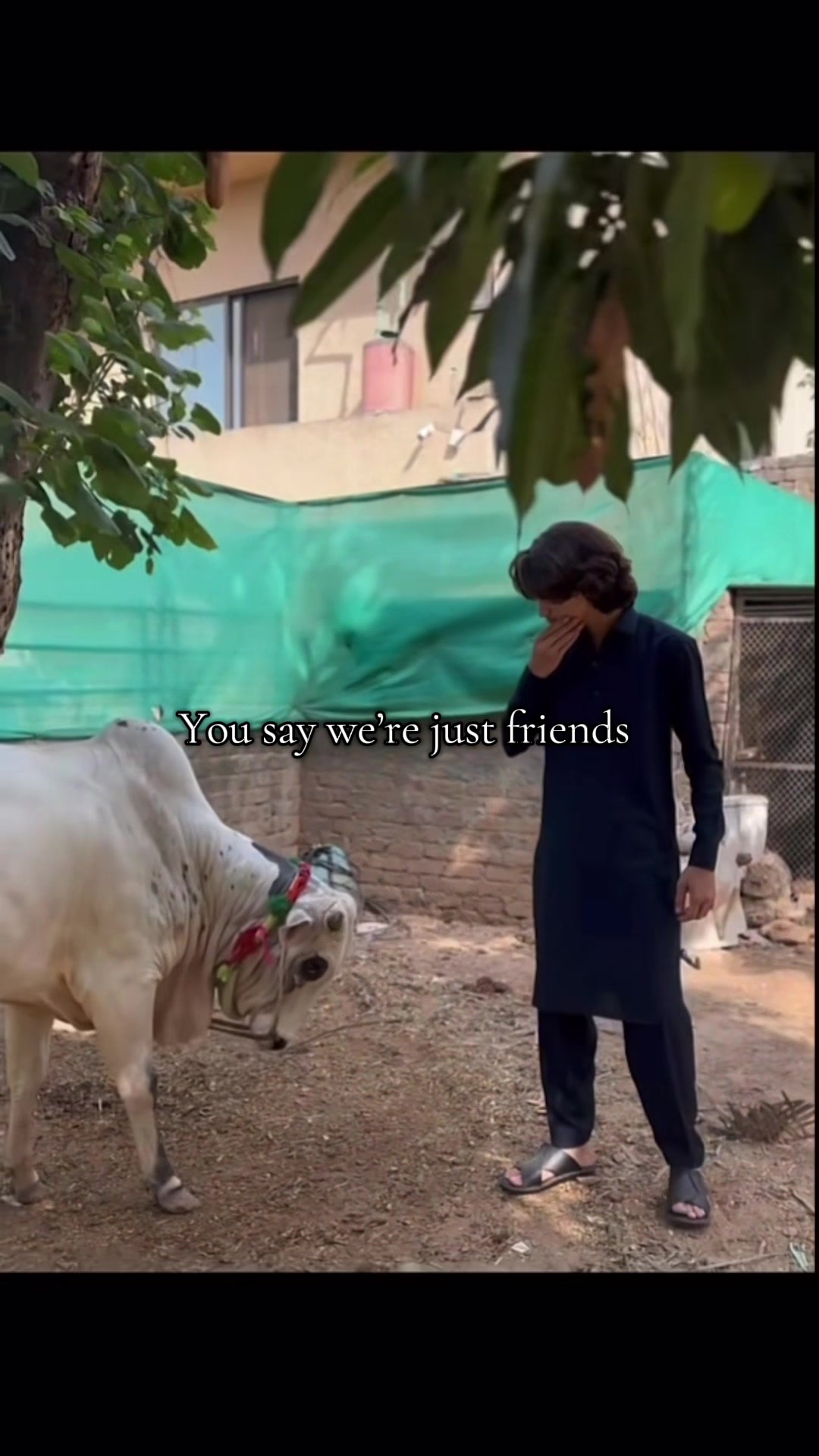 @alyazeem