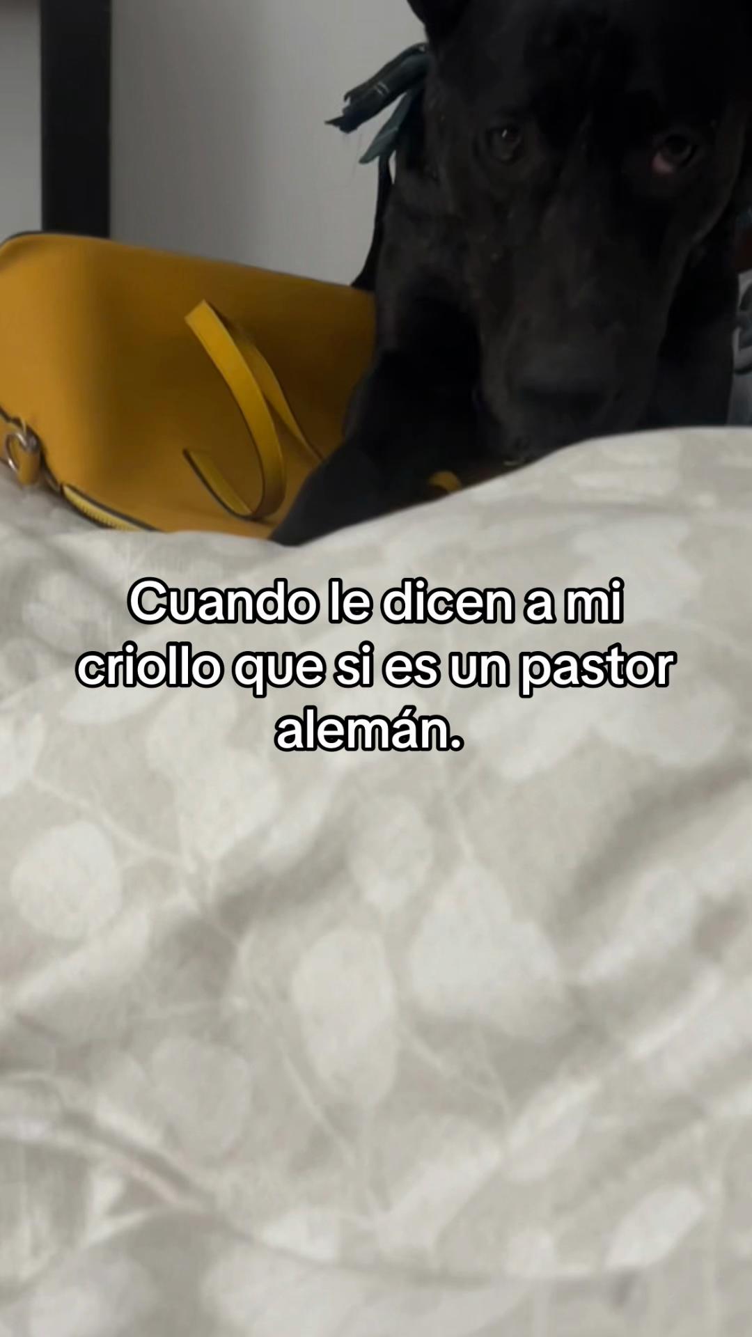 @Karina Picazo