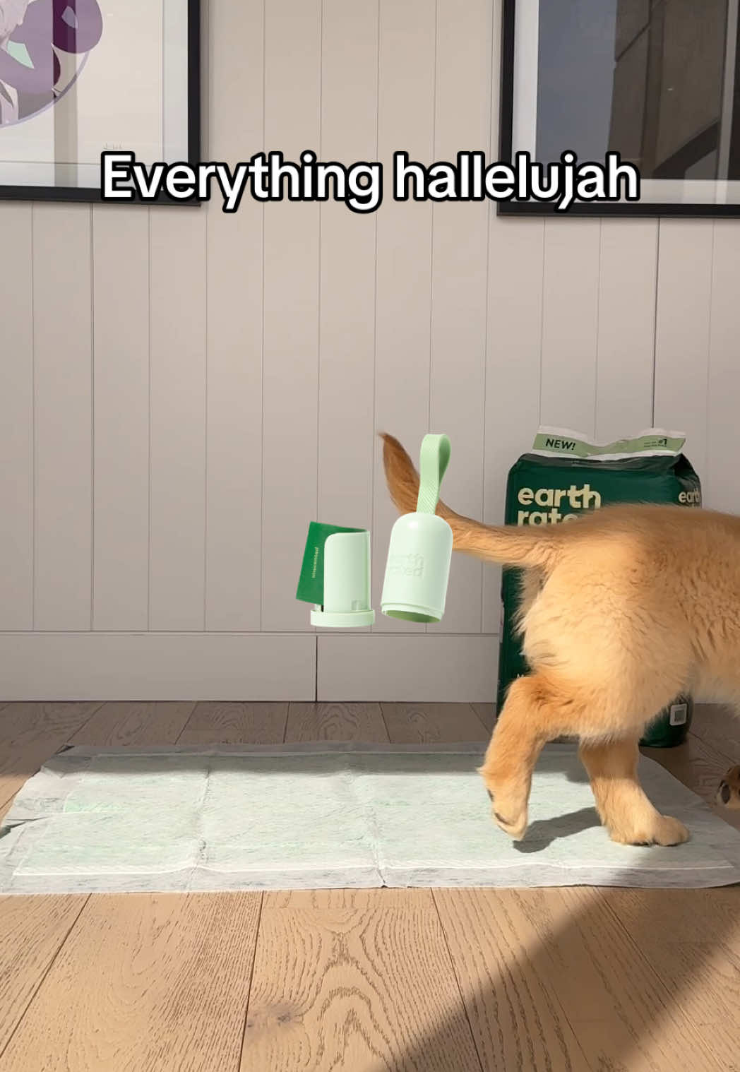 @earthrated