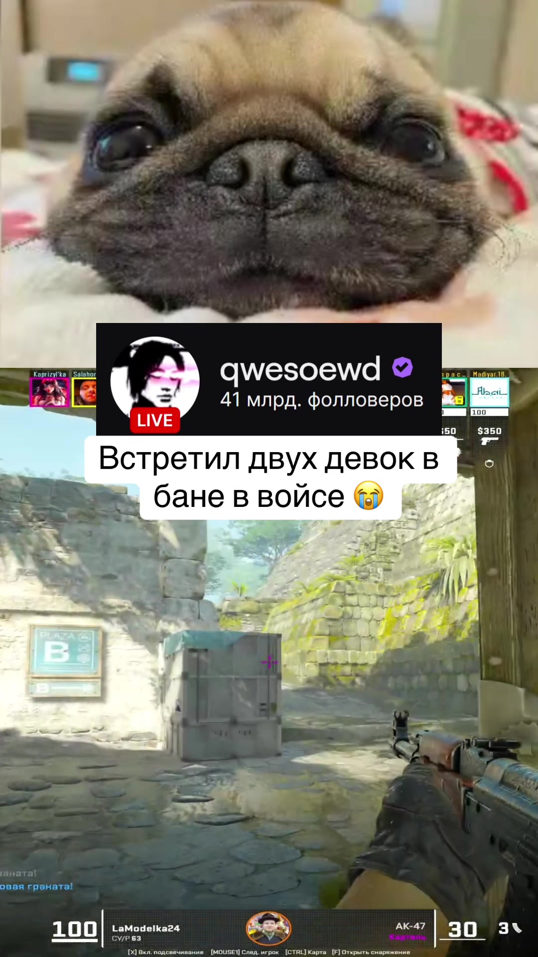 @qwesoewd_official