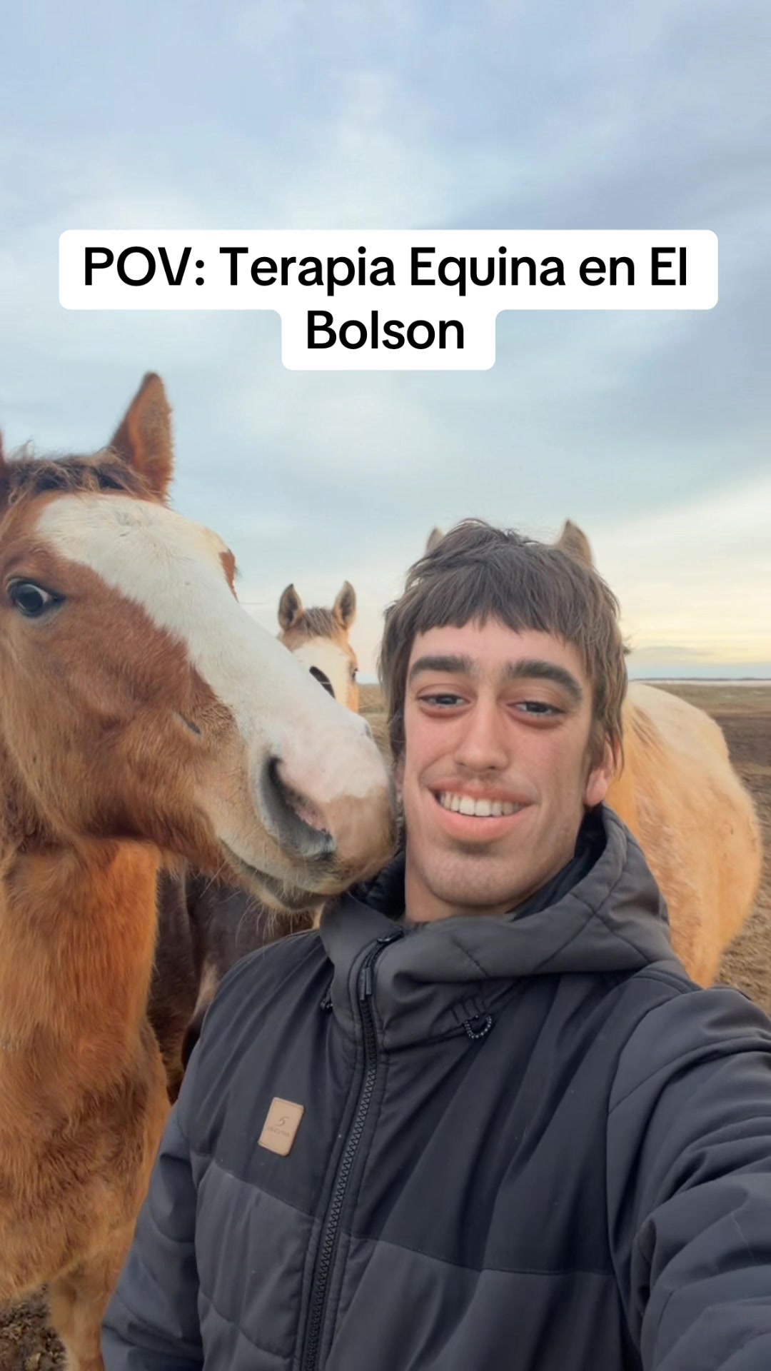 @el.y.mitador