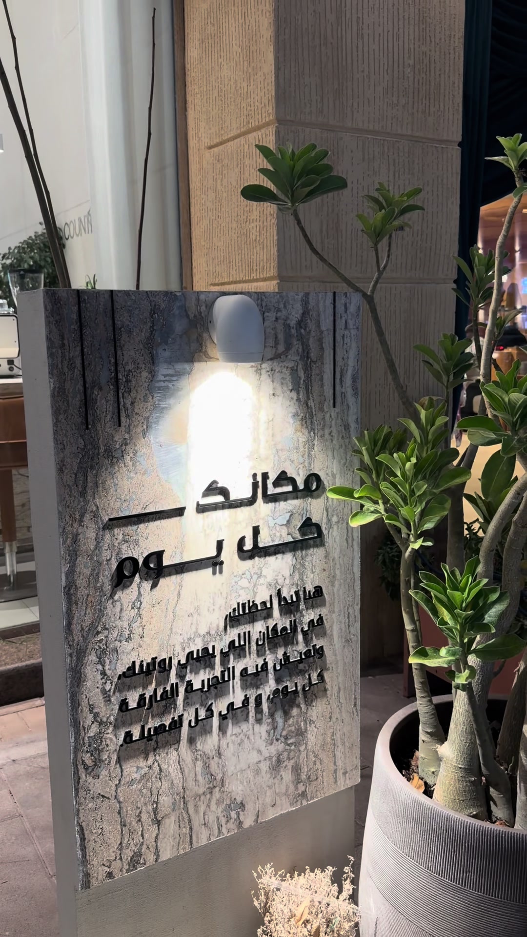 @زهـرة يونيـو 🦋F A R A H