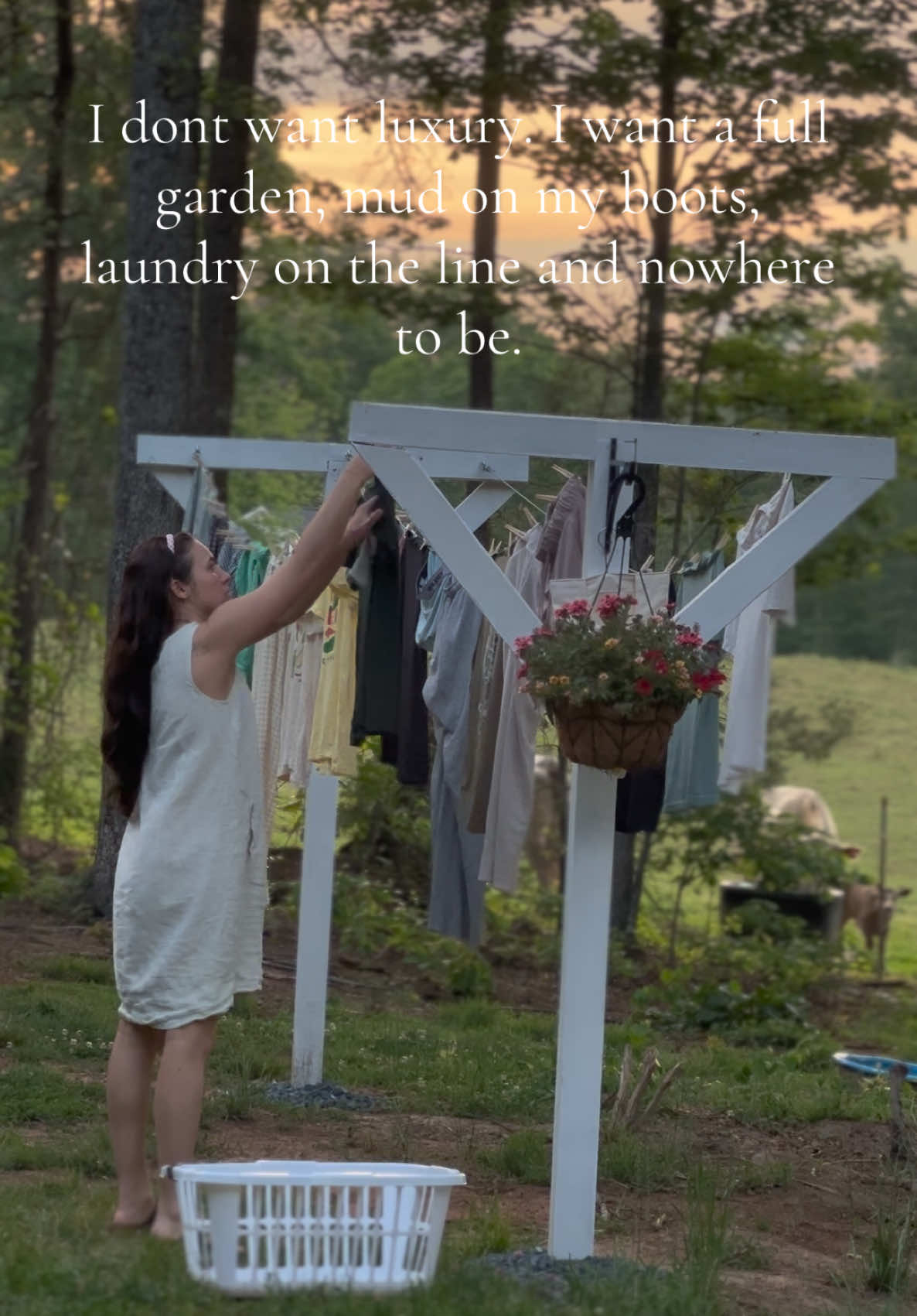@Heavenly_Homestead