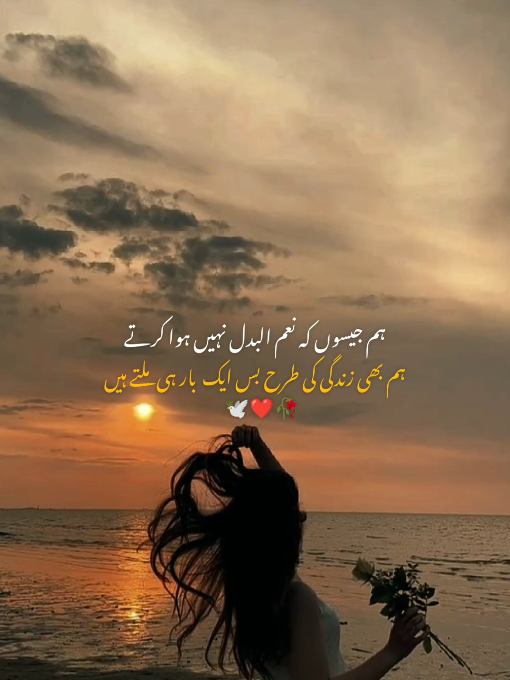 @🕊