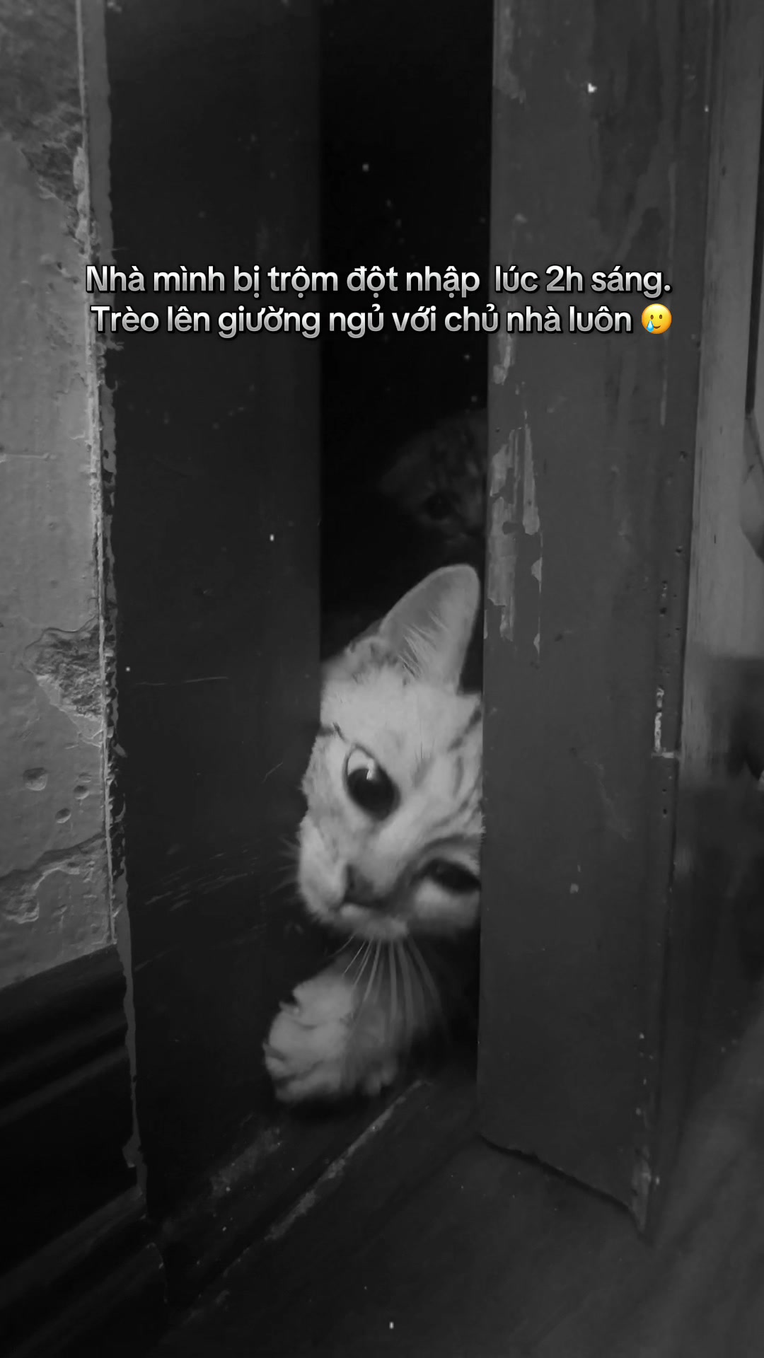 @Ốc V&agrave; Con