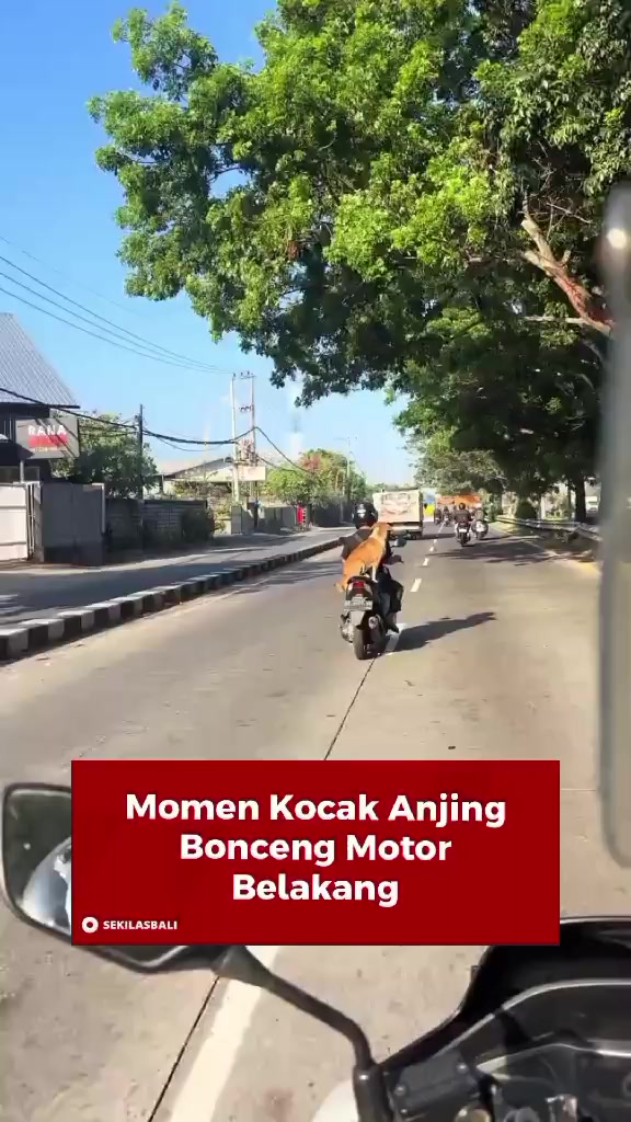 @Sekilas Bali