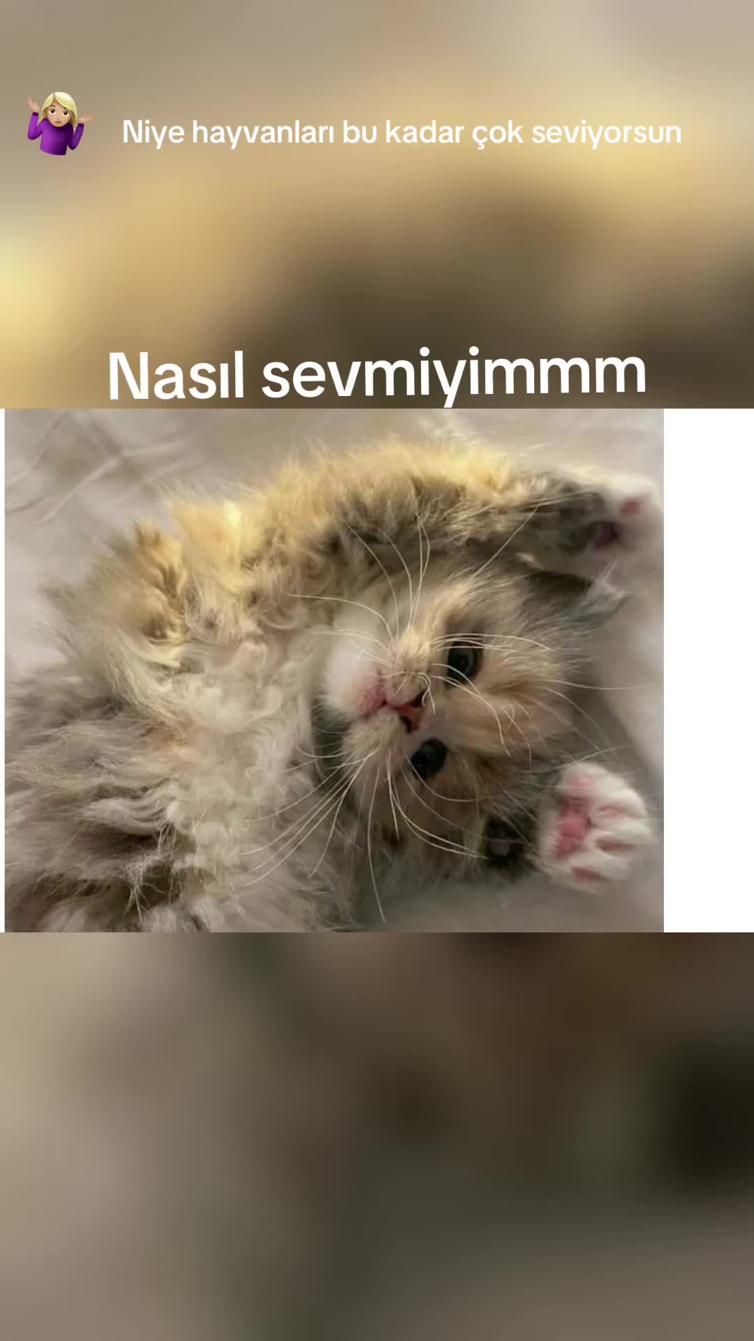 @🎀🎧ipek🎧🎀