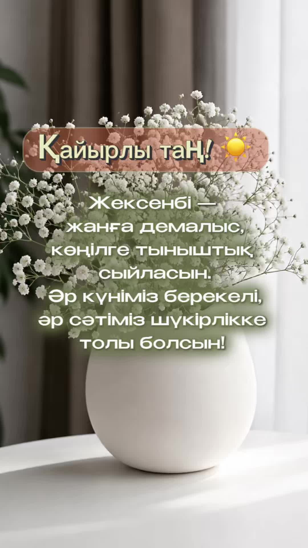 @aray_dinasil