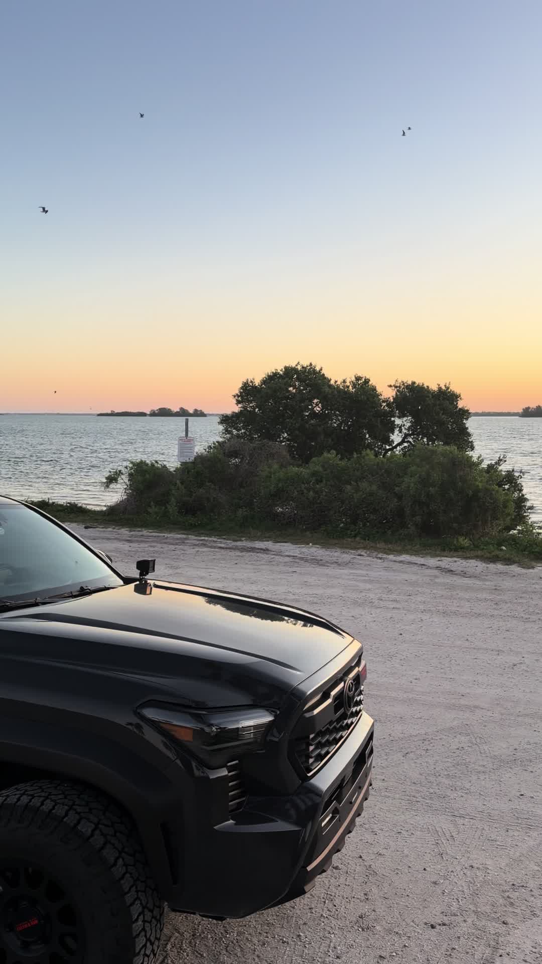 @SaltTaco