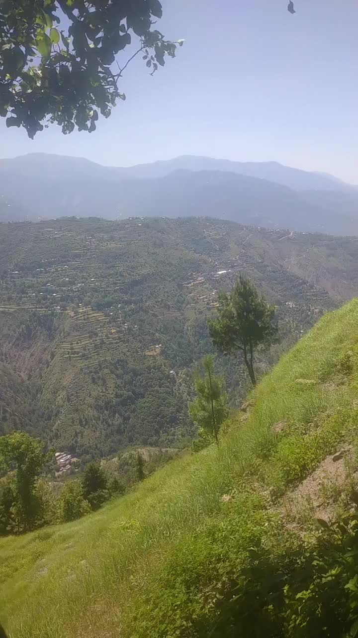 @Raja Reyaz