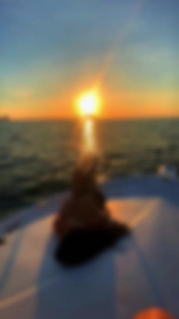 @B✨