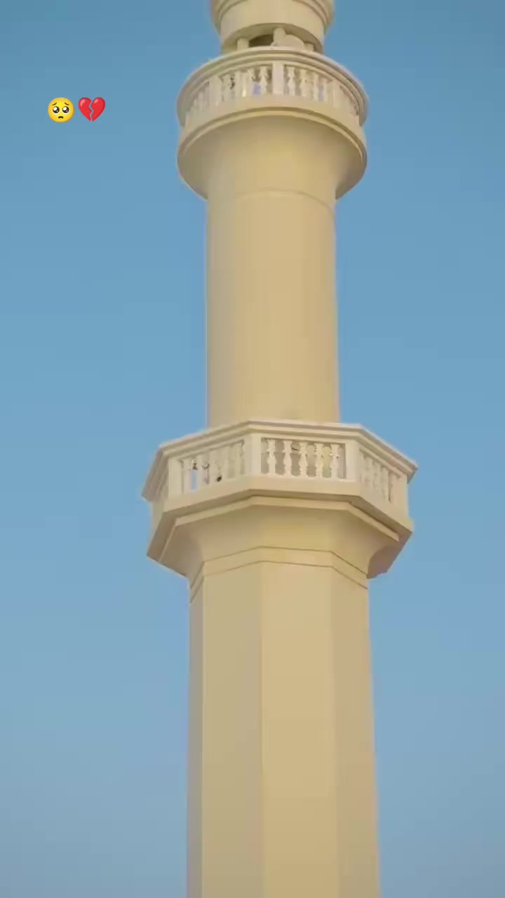 @🍁𝐒𝐡𝐚𝐧𝐢_نیازی🌸