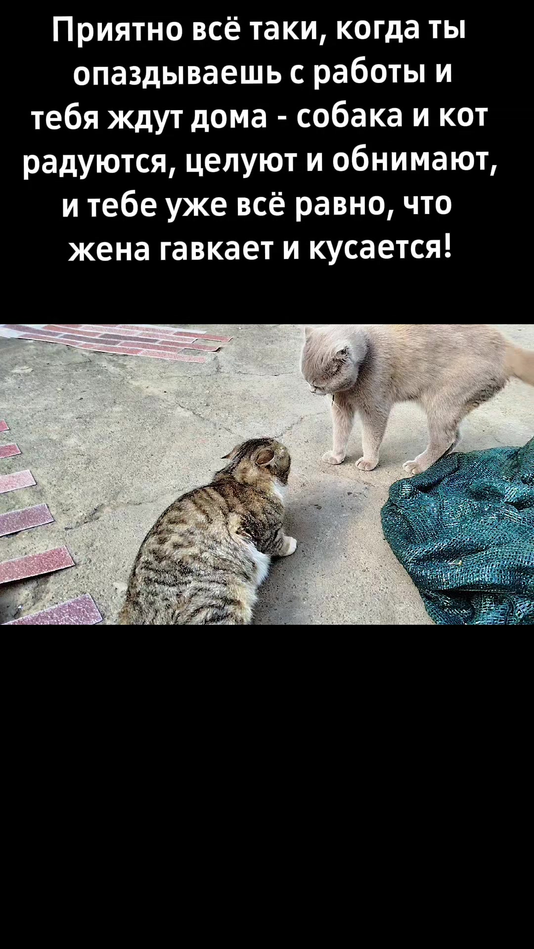 @🐈Масик&Андрей🥰