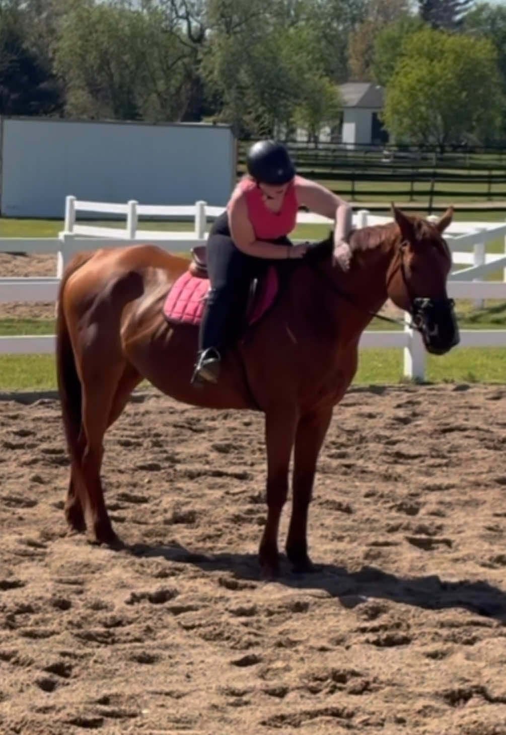 @ella_eqacc