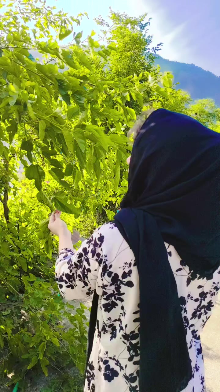 @👀AlizeyRajpoat330💖💫