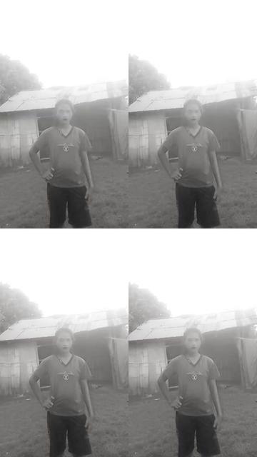 @rejion