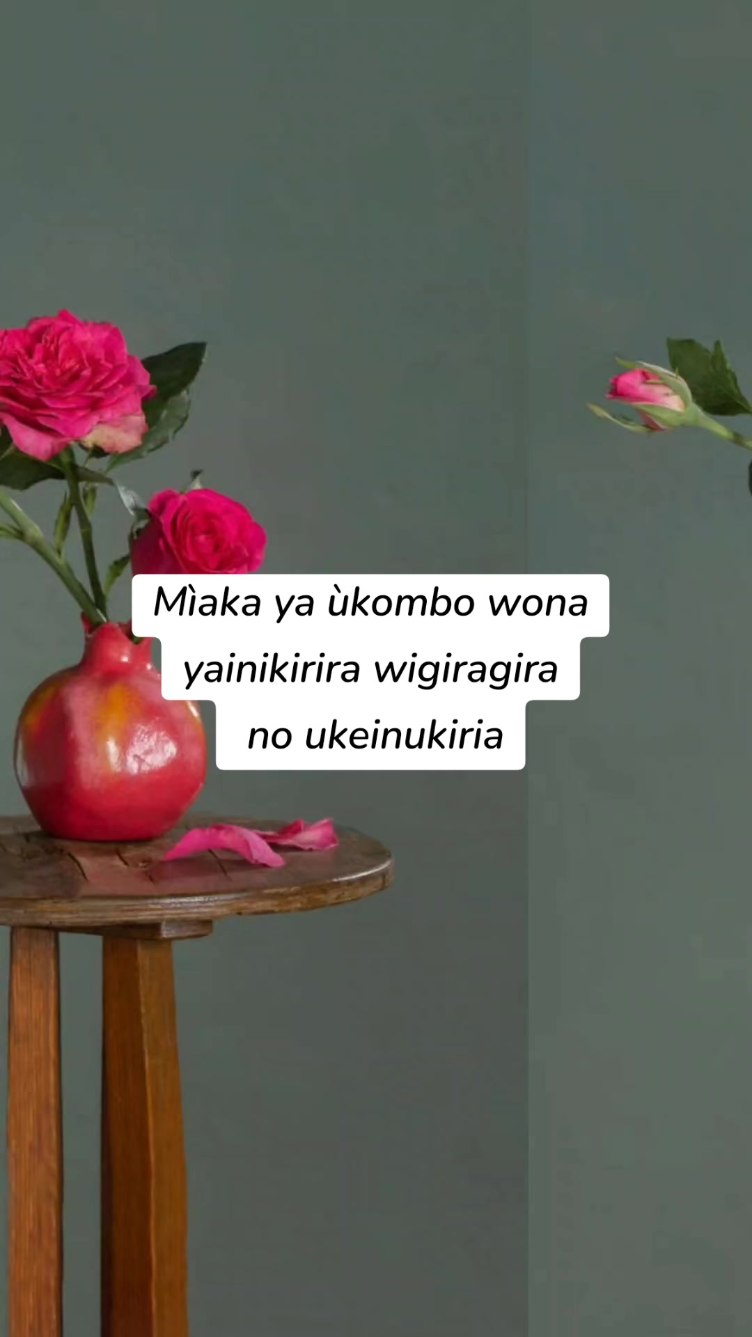 @&sect;&sect;&sect;&sect;&sect;💖💖