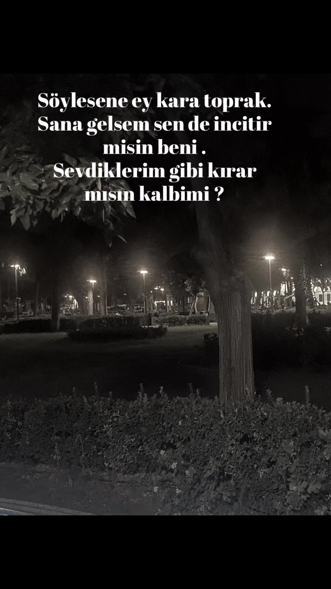 @Hayat_kry_63