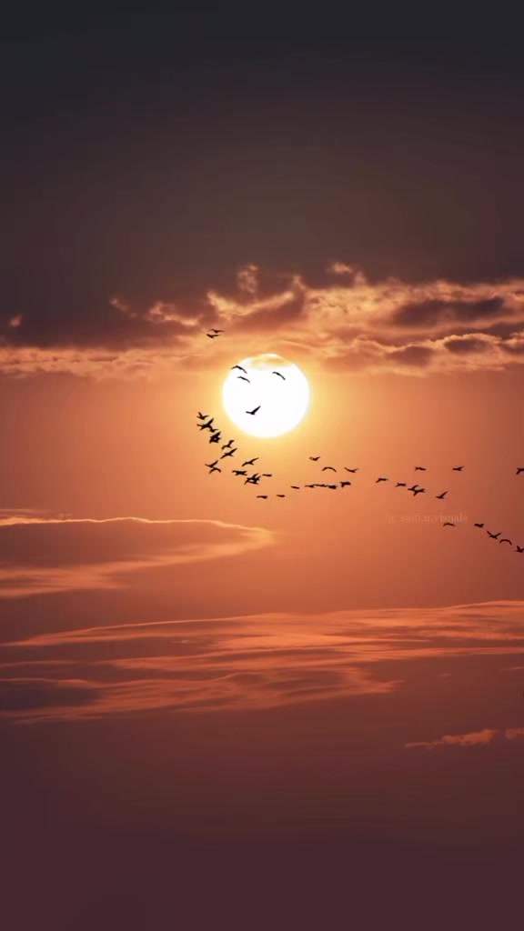 @انعام بنت منذر