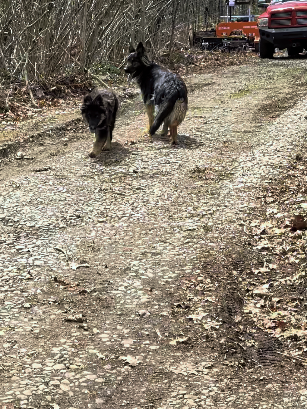 @TrailCam Qu&eacute;bec