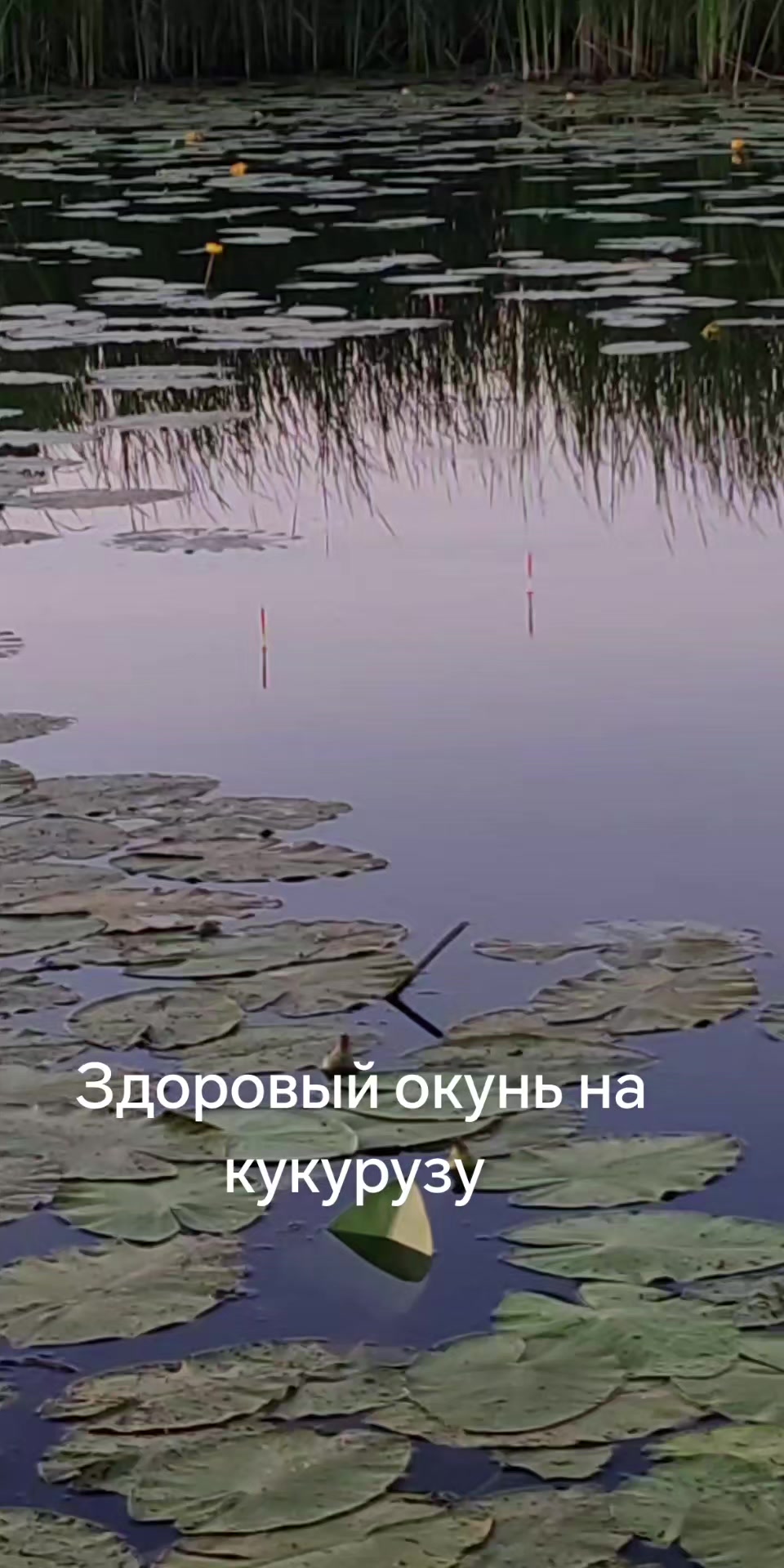 @(ЖОР)Жизнь Одного Рыбака