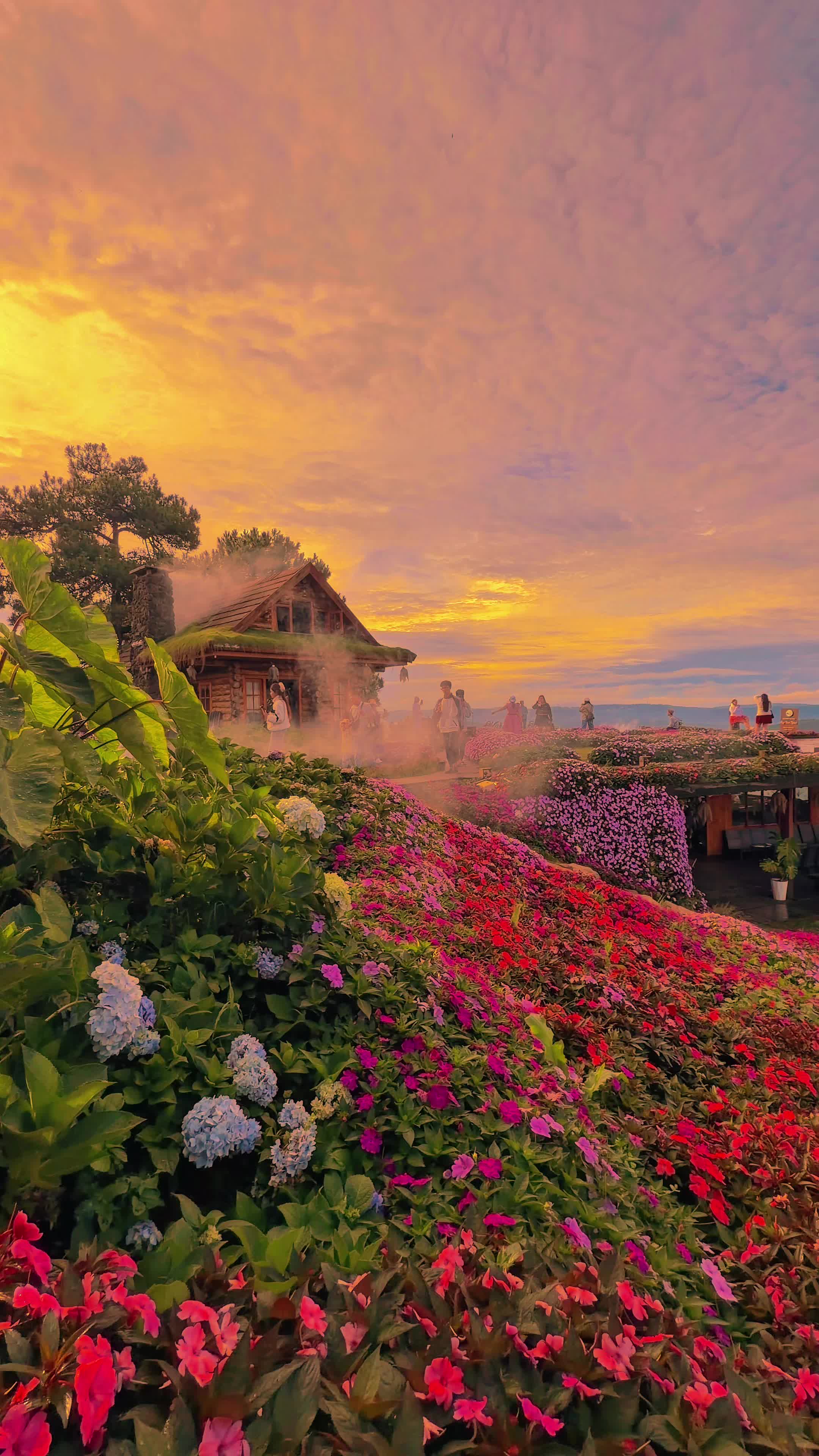@Miền Du Mục