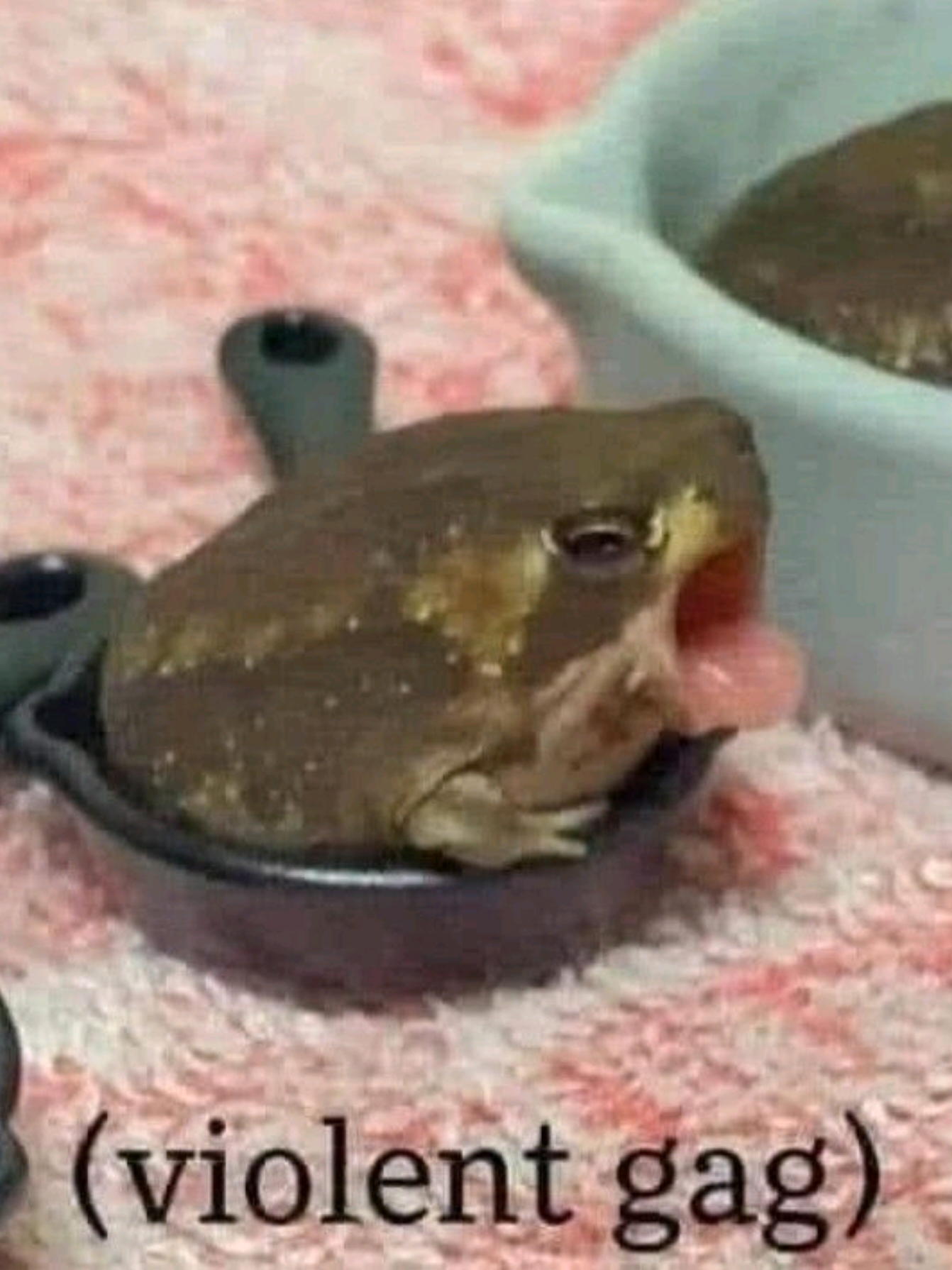@ʀᴜʙʙᴇʀɢʀɪᴘᴘᴀɢᴇ