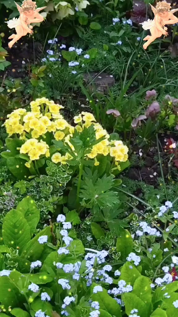 @꧁ Светлана ꧂