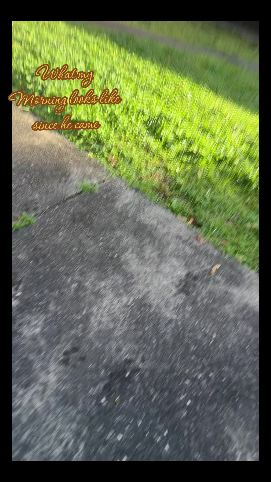 @Hangma__
