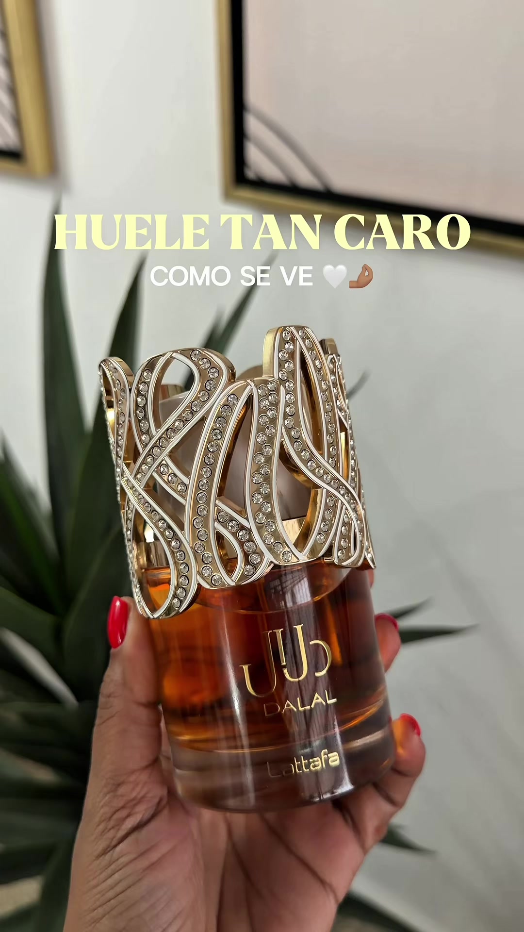@Queen Perfumes Panamá