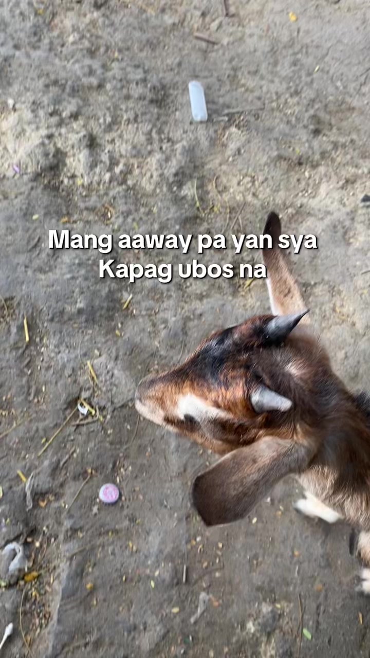 @Julie Ann