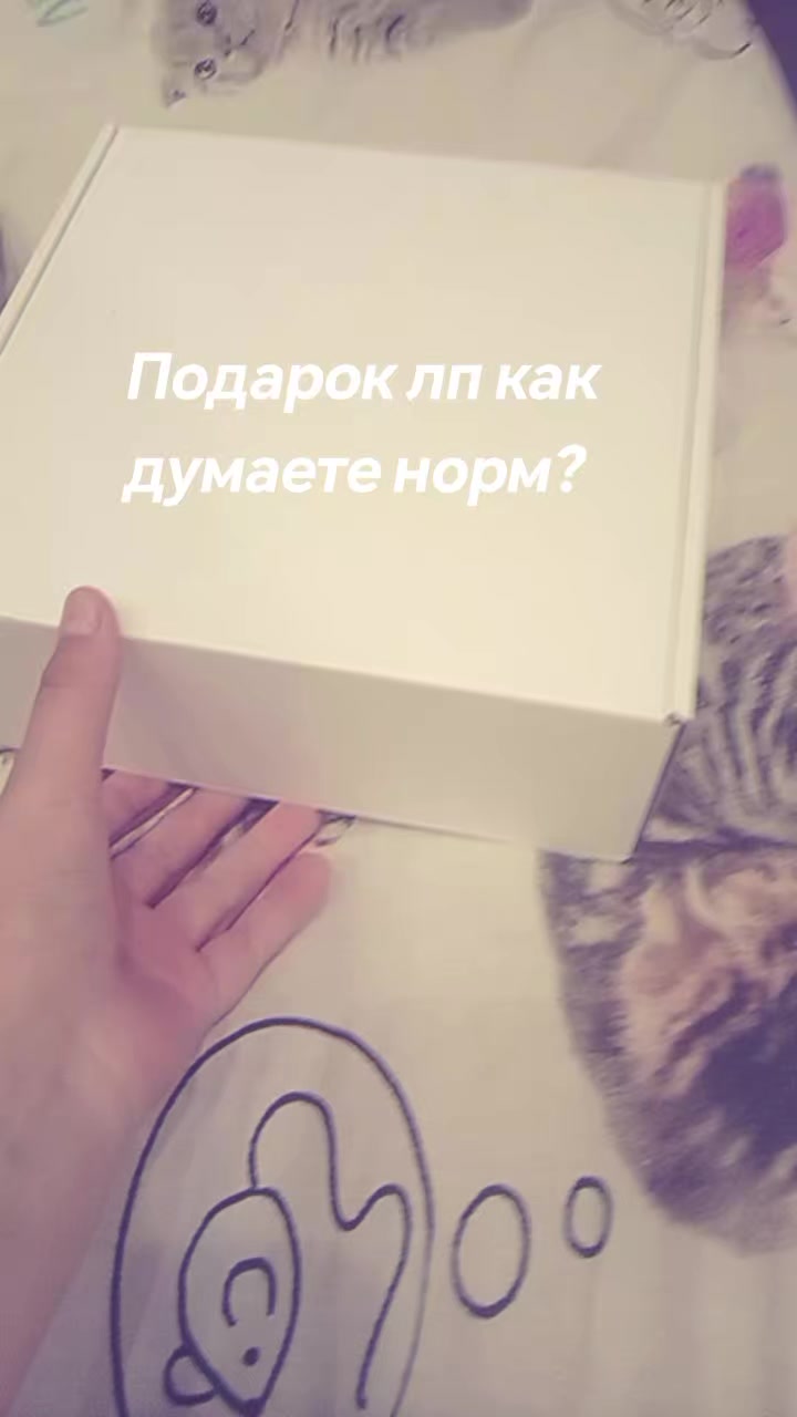 @sinacha