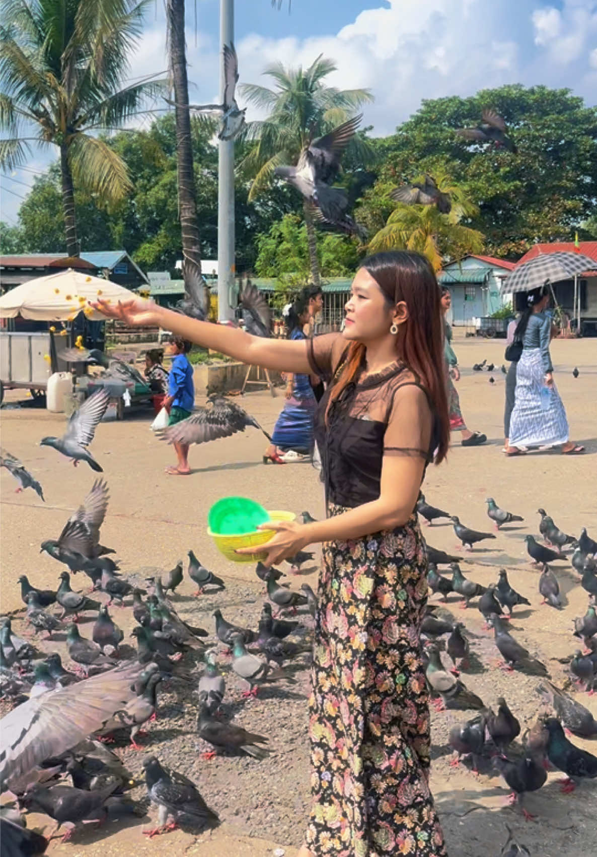 @🦚 𝐌𝐢𝐥𝐞𝐲 𝐊𝐢𝐧𝐧🌊