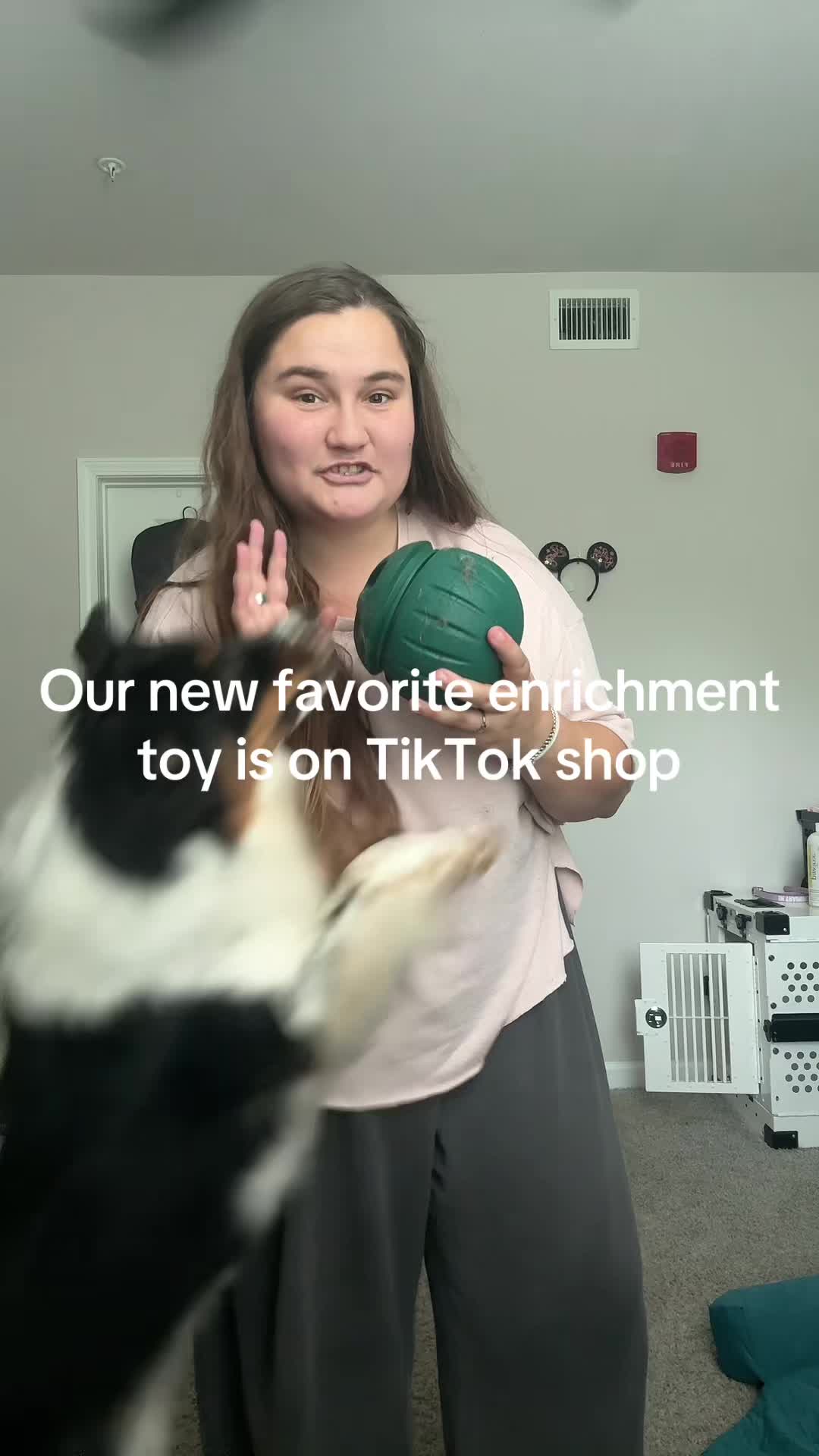 @thesaltysheps