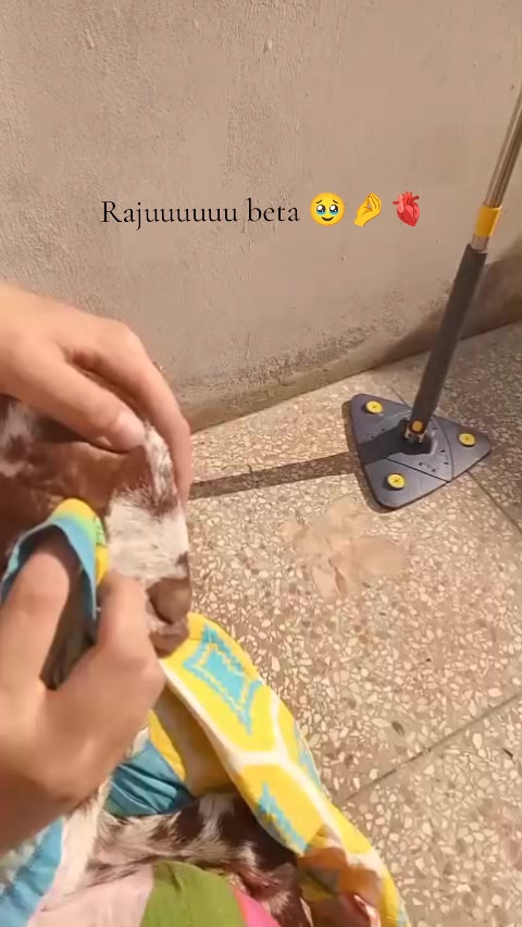 @ZAM ZAM BuTT