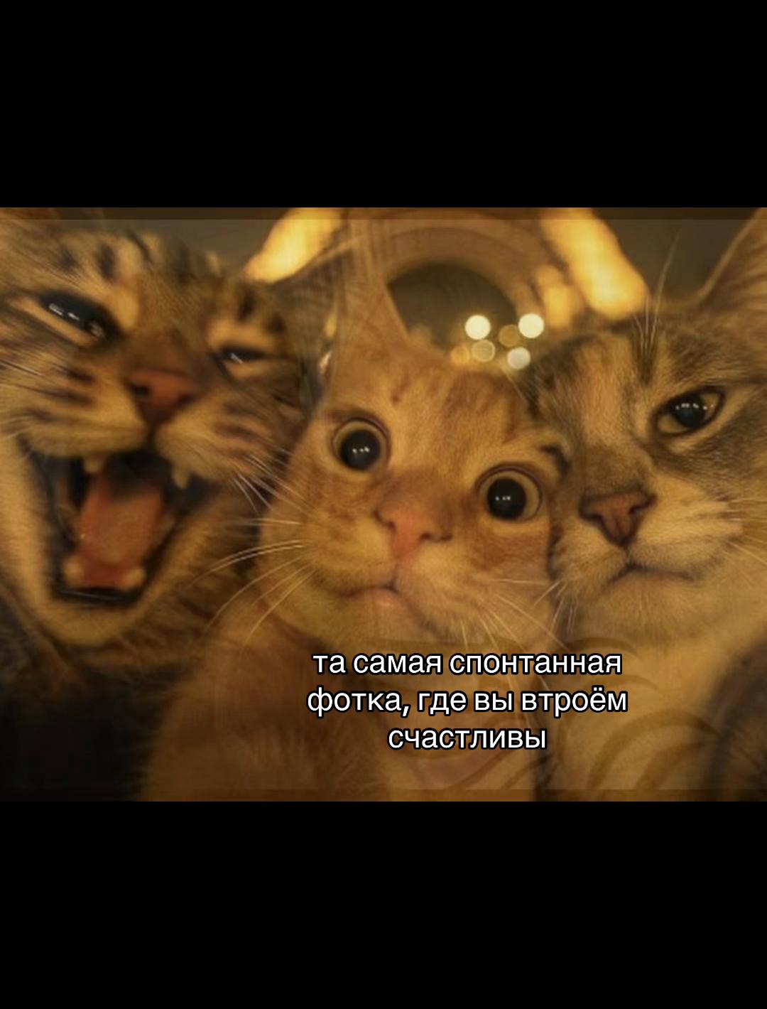 @Дарина)