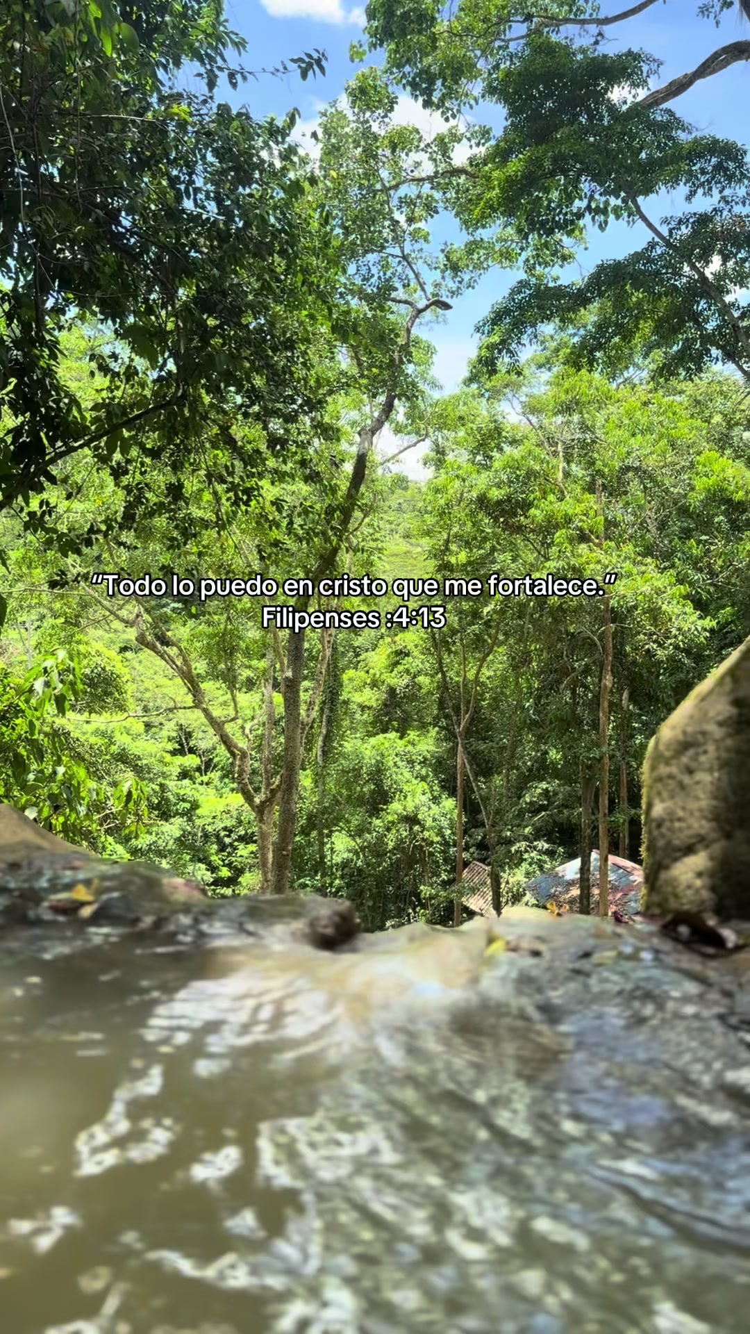 @URCU TRAVEL-TARAPOTO