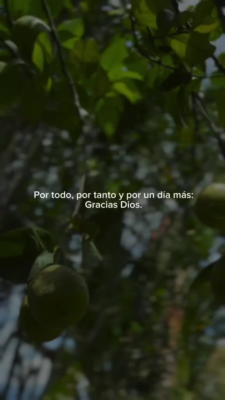 @Caro Camps Guzmán