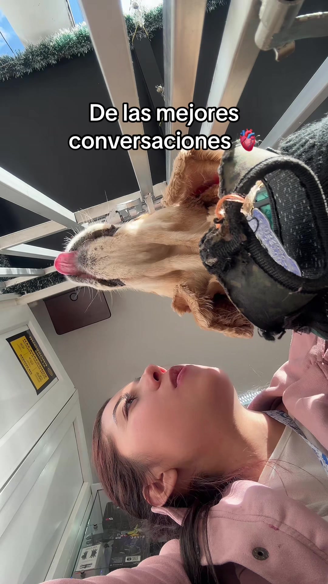 @Daniela Acosta