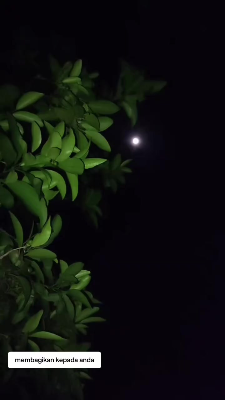@Dari Kontak Anda