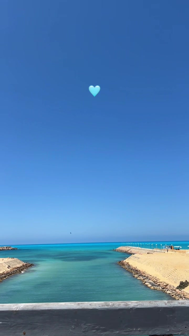 @Esraa Yasser