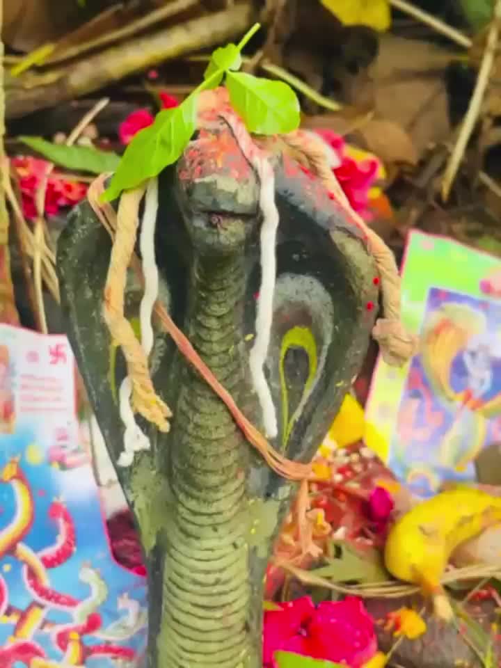 @Bashandhara pokhrel