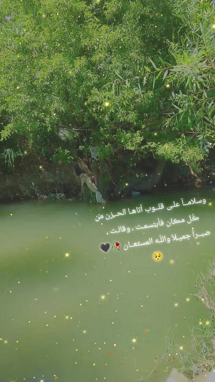 @⊱ فـࢪاشه&zwj; الاسلام 🦋