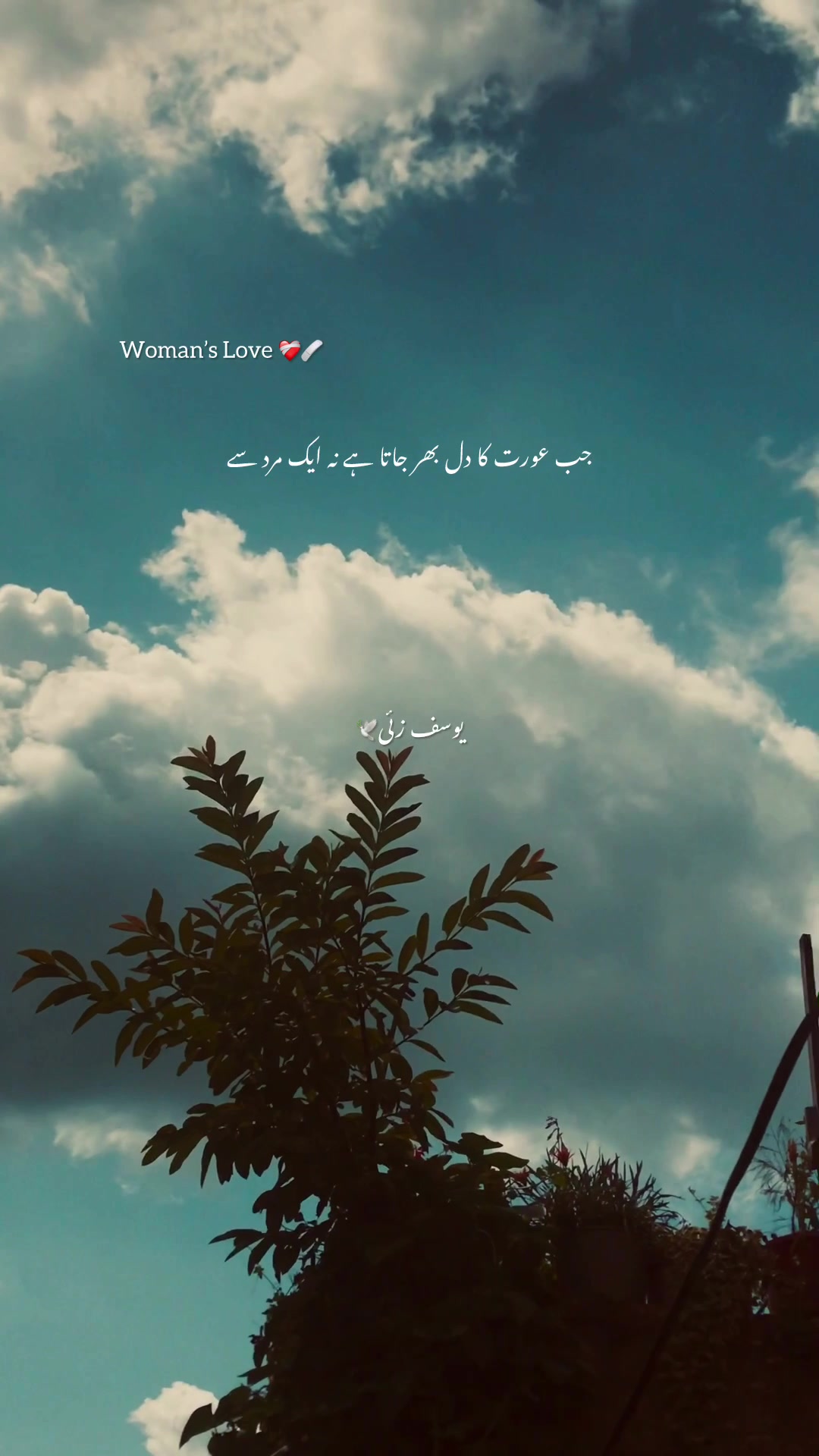 @⚜️ 𝐘𝐨𝐮𝐬𝐚𝐟𝐳𝐚𝐢 ࿐