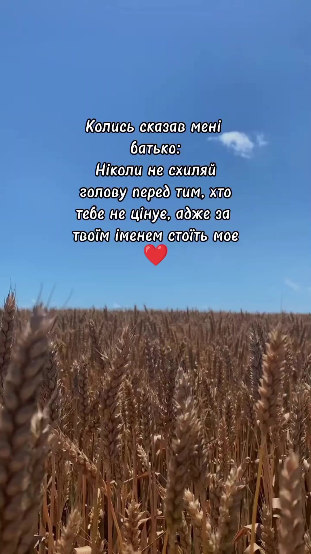 @✨𝓐𝓷𝓰𝓮𝓵✨