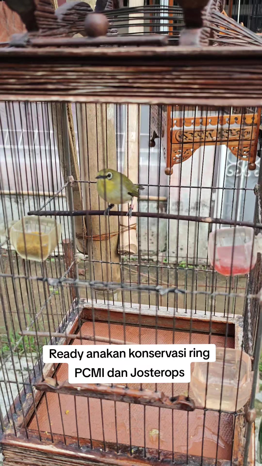 @NDX BIRD FARM