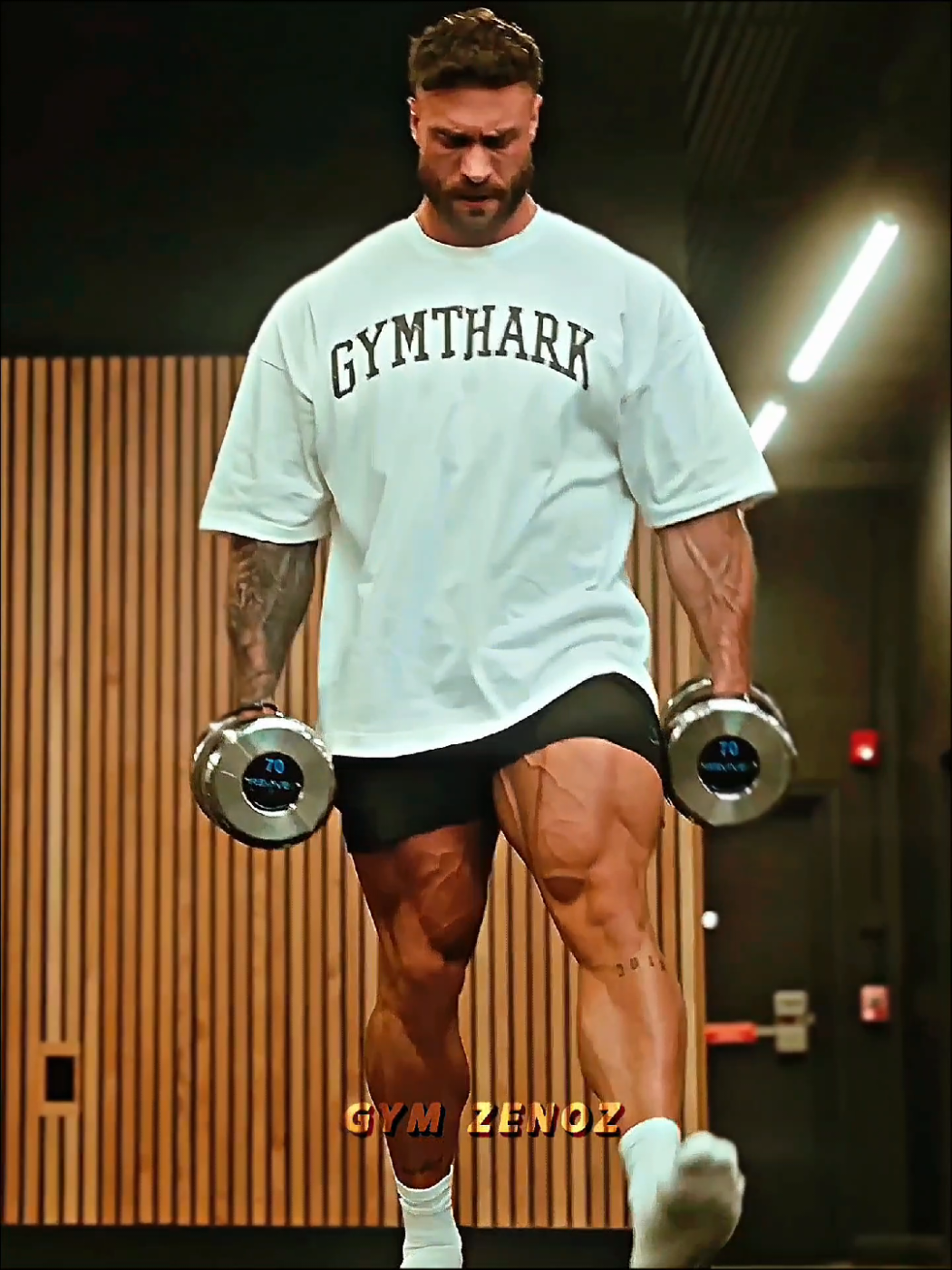 @Gym Zenoz