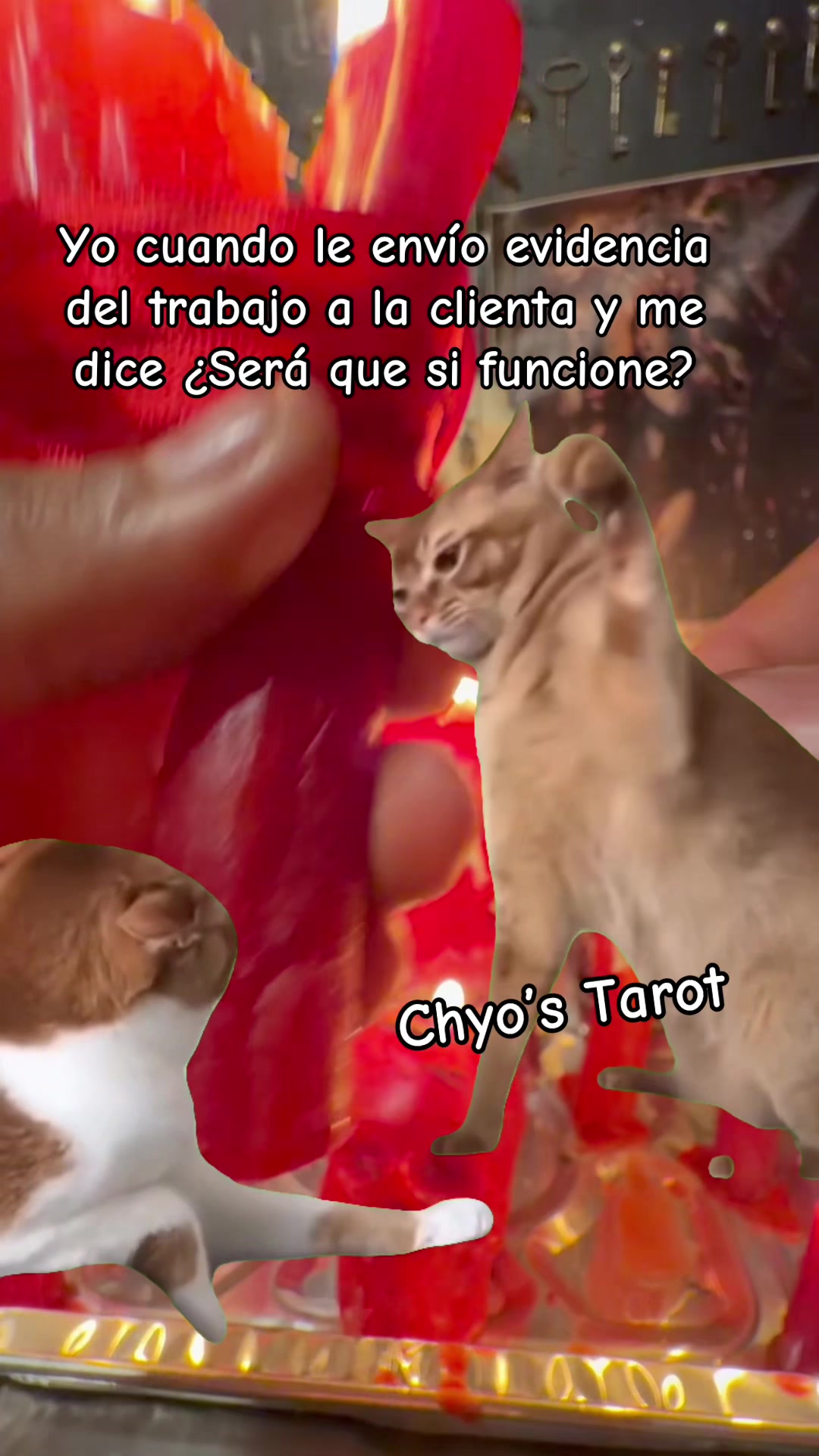 @chyos_tarot