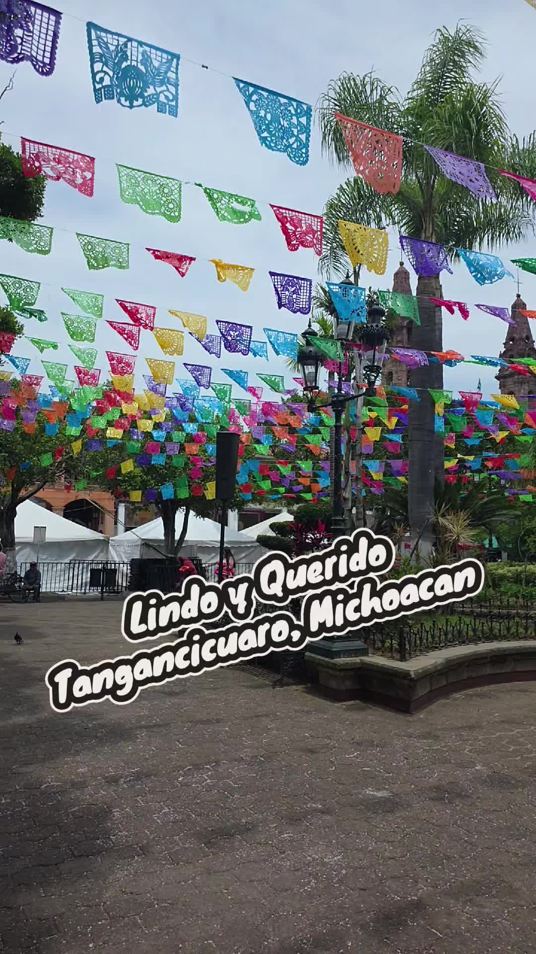 @neto_zr87