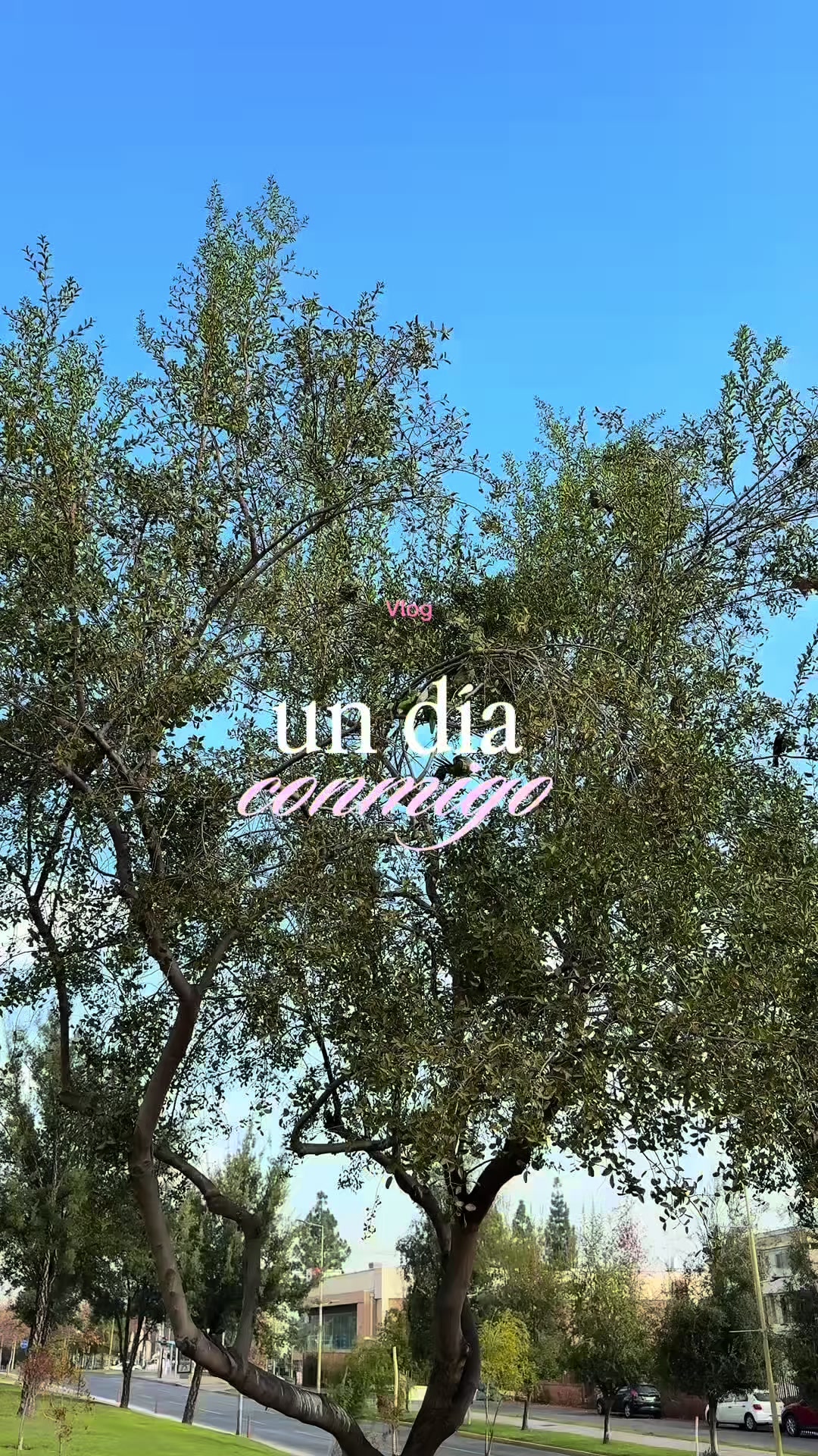 @𝐸𝓊𝓇𝑜𝓅𝒶 ᥫ᭡